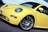 beetle